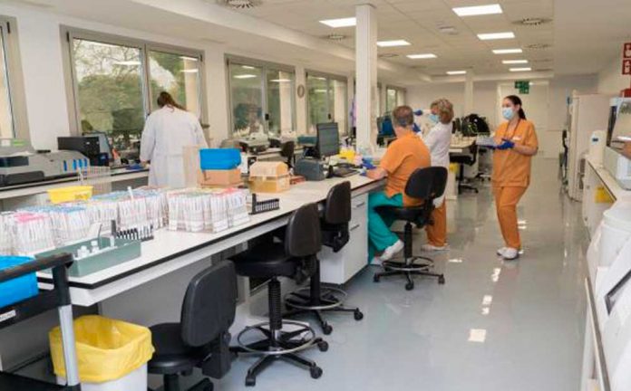 Nou laboratori per estudiar el sistema immunitari