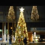 ARBRE-1-261120