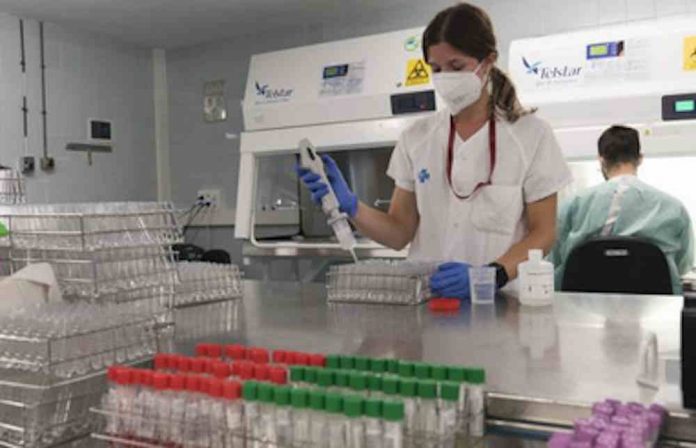 BELLVITGE 041220 Estudi de la incidència de la covid entre els universitaris