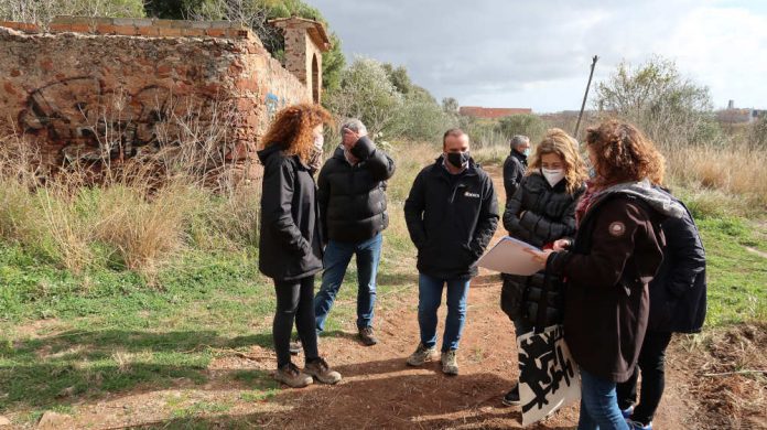 Camí del Turó del Calamot