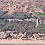 LLEVANT MAR ARA 260221