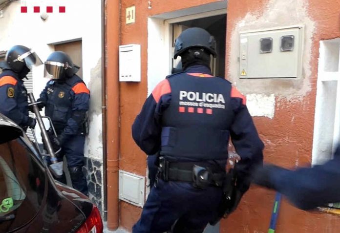 Els Mossos detenen 5 persones per 6 plantacions de marihuana