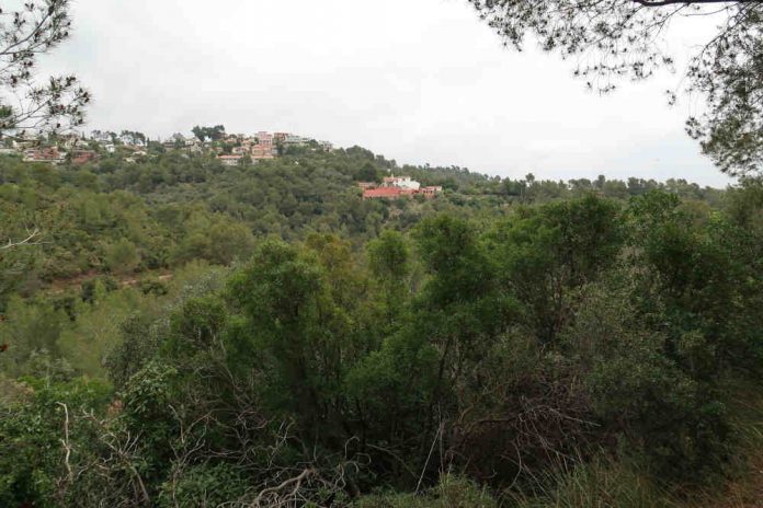 Crida a extremar les precaucions per evitar incendis forestals