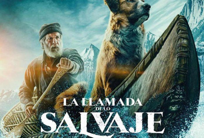Projecció de La llamada de lo salvaje