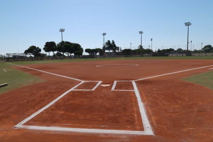 Millores al camp de beisbol i softboll de can Torelló