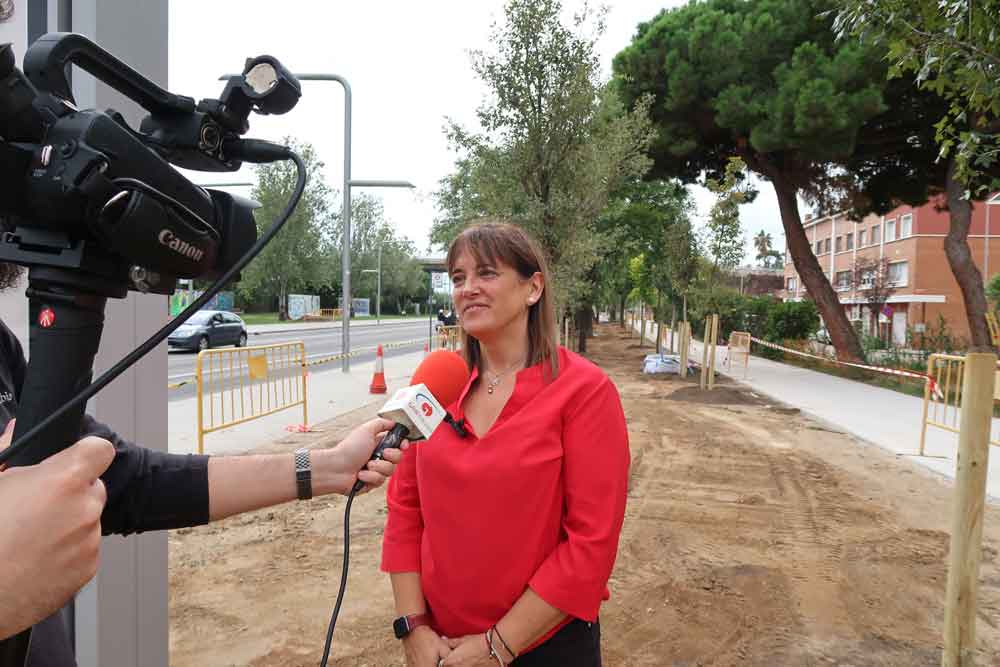 L'alcaldessa a la C-245 on s'estan fent la plantació aquests dies