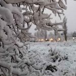 BEGUES-270223