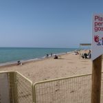 Aquesta és la platja per a gossos de Gavà