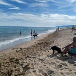 Platja de gossos 1