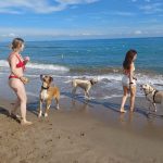 Platja de gossos 2
