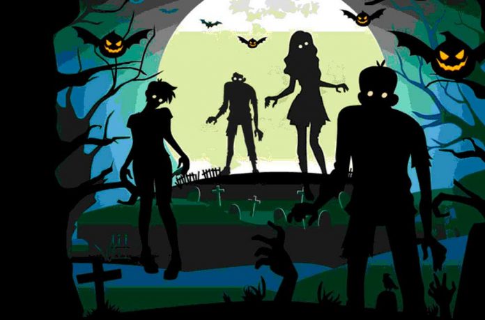 castaween-23 Arriba el Castaween 2023 a Gavà
