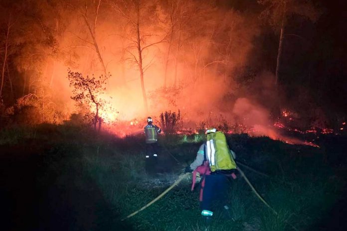 bombers-1-141223 Incendi forestal aquesta matinada a Gavà