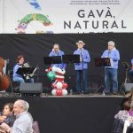 gats-vells-171223