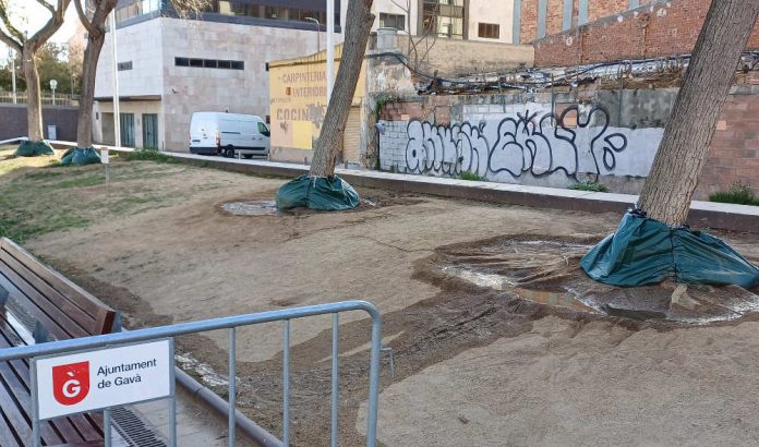 Arbres gavanencs protegits contra la sequera
