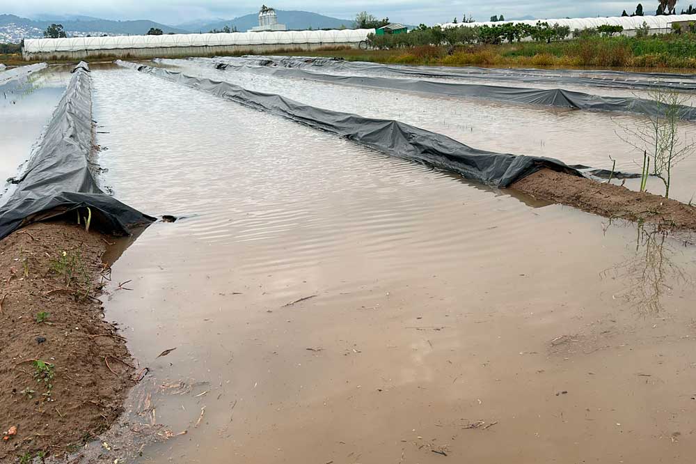 Les pluges provoquen carrers inundats i conreus negats