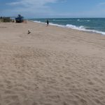 Aquí teniu el primer visitant de la platja de gossos provant la seva qualitat (i pel que sembla, aprovant-la!!)