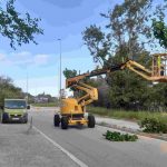 escarabat 2 300524