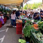 mercat-de-pages-050524
