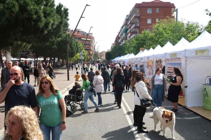 Comerç i activitats per viure la Fira en família