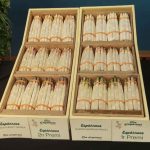 primer-i-segon-esparrecs-24
