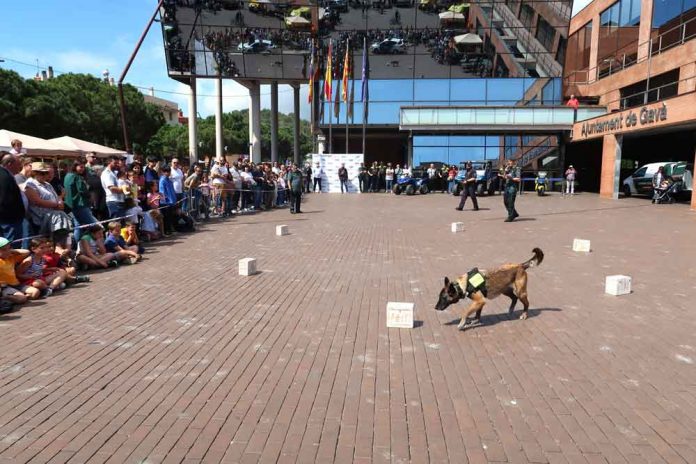 Mostra de seguretat dels cossos policials i de protecció civil