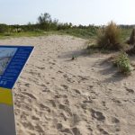 dunes 1