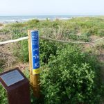 dunes 2