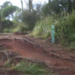 Camí medieval 2