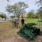 muntatge-arbres-nadal-2024