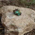 excavacions ferreres 4