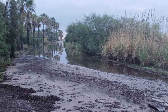 PASSEIG-MARITIM-041124 La Generalitat revisarà totes les activitats situades en zones inundables