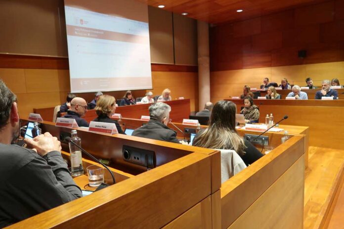 PLE-2-281124 El Ple referma el compromís amb la lluita feminista