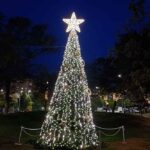 arbre-nadal-diagonal-2024