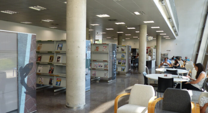 biblioteca JSV dotze