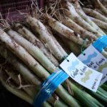 calçots-gava-130225