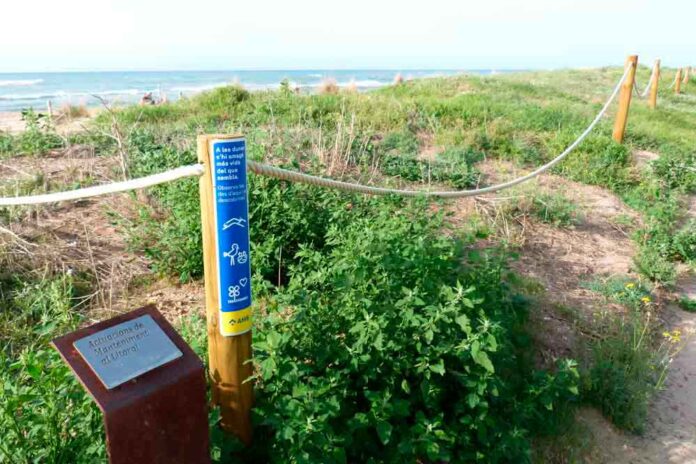 Comencen les activitats de primavera a la Jugatecambiental
