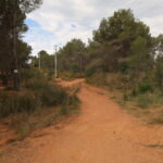 La prova tindrà lloc en aquesta zona del bosc de La Sentiu