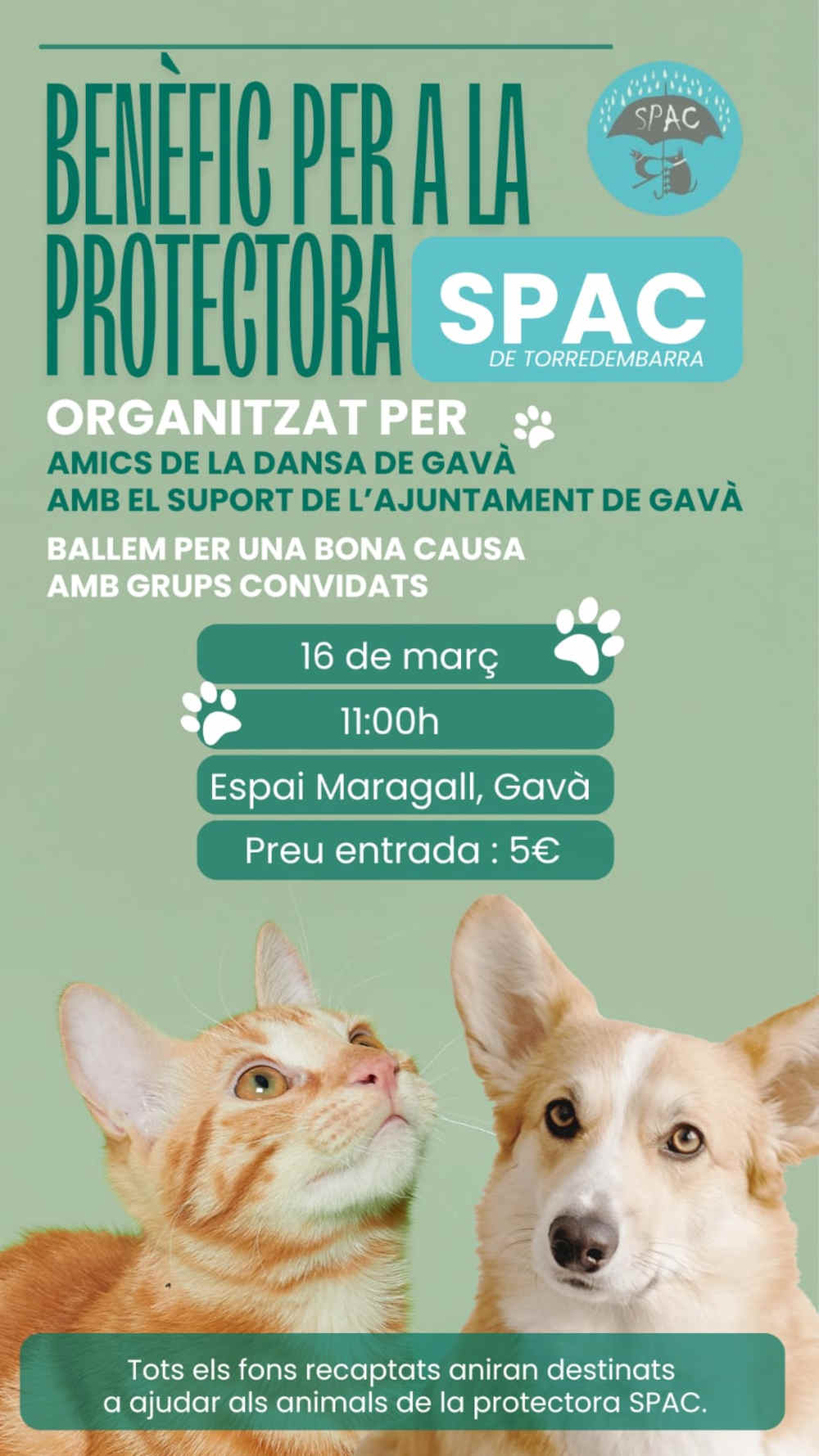 adopció