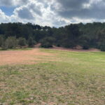 La prova tindrà lloc en aquesta zona del bosc de La Sentiu