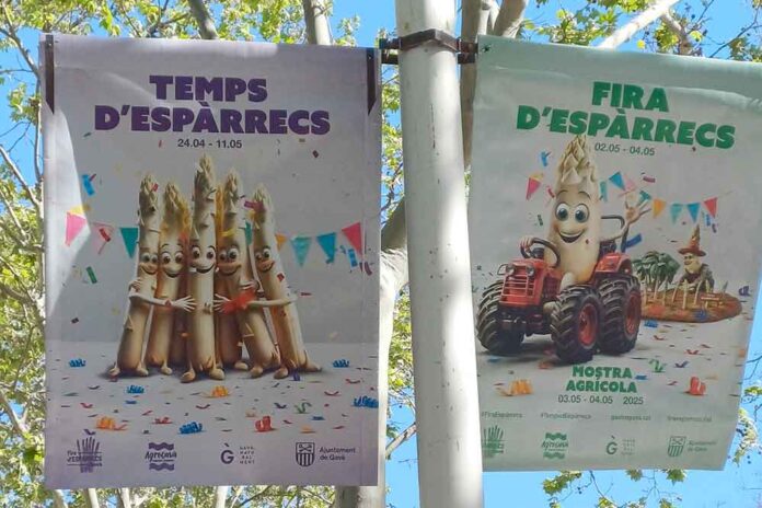 Fira dels Espàrrecs