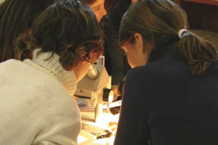 Gavà commemora el Dia Internacional dels Museus