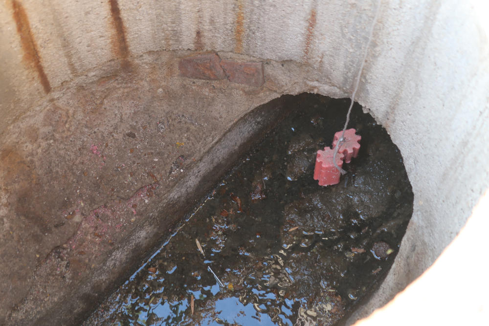 control de plagues