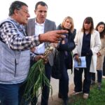 pagesia-080725