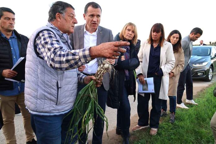 La pagesia de Gavà satisfeta