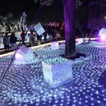 Jardi-somnis-281125