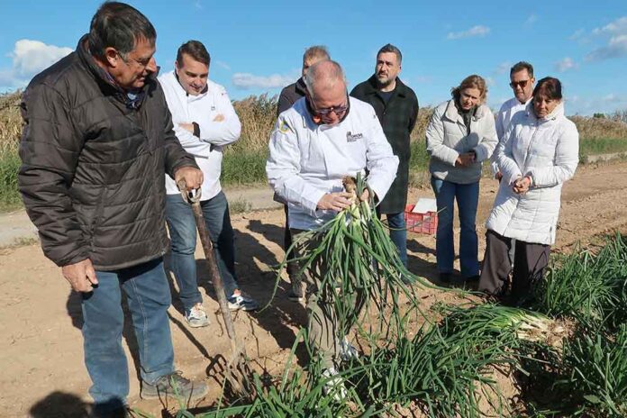 Calçots de Gavà a dojo