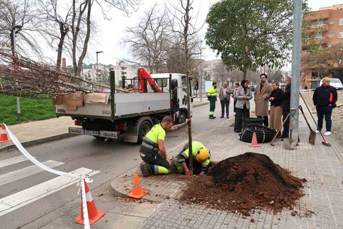 Gavà culmina la replantació