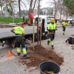 arbres-2-270226