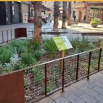 parterre-rambla-160326