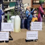 Plantà falla 3